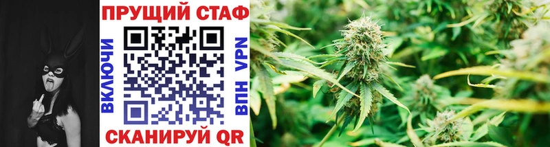 Виды наркотиков купить Пущино ГАШ  АМФ  Меф  Бошки Шишки  A-PVP 