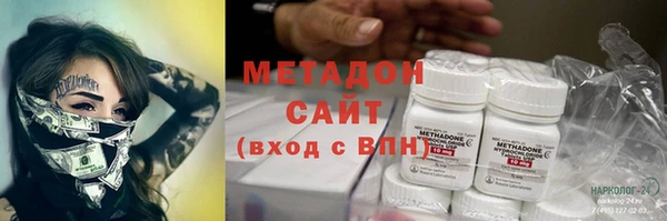индика Аркадак