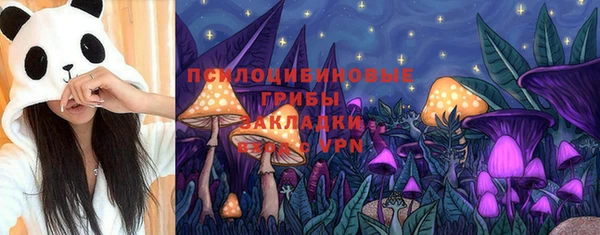 индика Аркадак