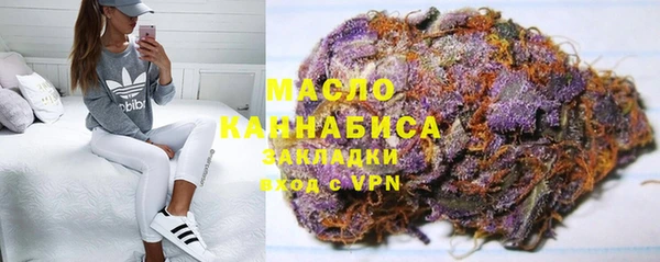 индика Аркадак