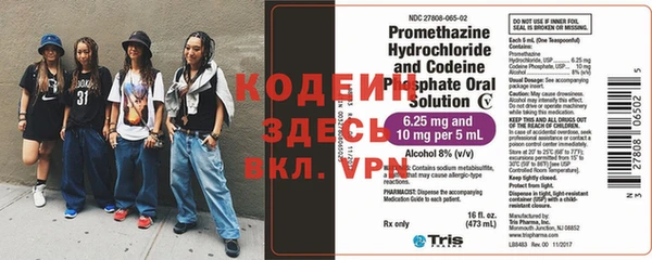 индика Аркадак