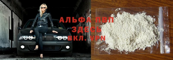 индика Аркадак
