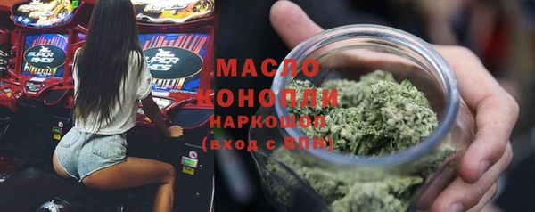 индика Аркадак